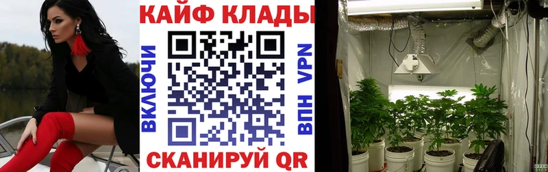 ГАШИШ Невель