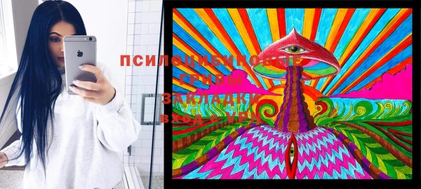 прущие грибы Беломорск