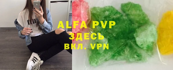 прущие грибы Беломорск