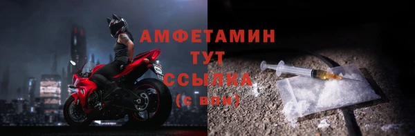 прущие грибы Беломорск