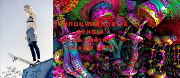 прущие грибы Беломорск