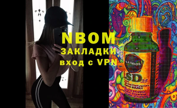 прущие грибы Беломорск