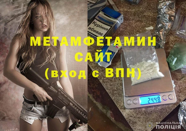 прущие грибы Беломорск