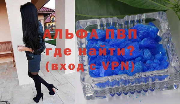 прущие грибы Беломорск