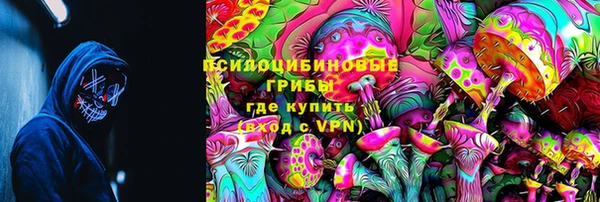 прущие грибы Беломорск