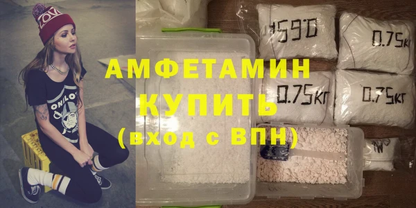 прущие грибы Беломорск