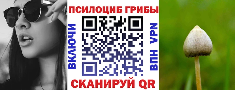 Псилоцибиновые грибы MAGIC MUSHROOMS  Невель 